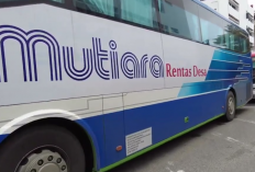 Jadwal Keberangkatan Bus Mutiara Rentas Desa Rute 24 Dari Jeli Ke Kota Bharu Terupdate Tahun 2023 