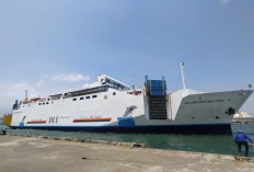 Harga Tiket Kapal Laut Kumai-Semarang Februari 2023, Lengkap dengan Link Booking