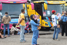 Cara Daftar Mudik Gratis Ditjen Hubdat 2024, Cek Link Pendaftarannya Disini!