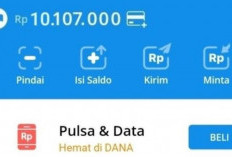 Butuh Uang Mendesak? Inilah Tips Cairkan Saldo Rp 10 Juta Lewat DANA Pinjam, Proses Cepat Langsung Masuk