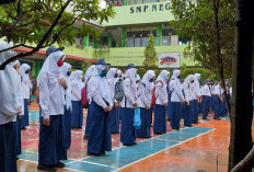 Struktur Organisasi Kelas SMP Serta Tugas Masing-masing Anggota, Cari Tahu Jawabannya Disini!