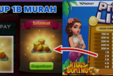 Cara Beli Chip Higgs Domino Lewat DANA Diskon 50% Februari 2024, Buka 24 Jam Pasti Langsung Masuk!