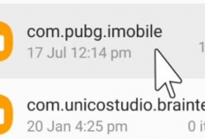 Download OBB Service is Running PUBG Mobile 2024, Unduh File Resources Jadi Makin Mudah Tanpa Gagal!