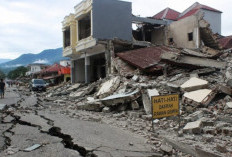 Heroik! Kisah 6 Bidan Tangani Persalinan di Tengah Gempa NTT 7,7 Skala Richter Cuma Pakai Senter HP Sebagai Penerangan