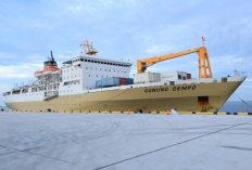 Harga Tiket & Jadwal Kapal Ferry Makassar Surabaya Desember 2023, PELNI Masih Mendominasi Pelayaran