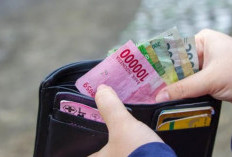 Daftar Nomor WA Pinjaman Online Terpercaya, Gak Perlu Lama, 24 Jam Aja Dana Langsung Cair 