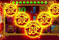 Link Download Cheat Maxwin Injector Mod Apk Full Gacor Terbaru 2024 Gratis Auto Cuan Kebal Trik Bandar