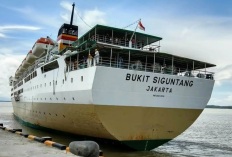 Jadwal Kapal Laut Makassar-Balikpapan Februari 2023, Harga Tiket Mulai dari Rp210.000
