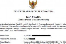 Mengenal Izin Usaha Industri OSS dan Cara Mendapatkannya, Pelaku Usaha Wajib Tau Ya!