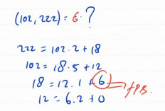 Contoh Soal Algoritma Pilihan Ganda, Latih Pemahamanmu Tentang Matematika!