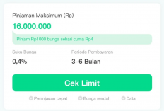 Tabel Pinjaman Easy Cash Terbaru 2023: Tenor, Angsuran, Bunga dan Limit