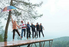 Lokasi Wisata Pineus Forest View Garut-Tasikmalaya, Rekomendasi Tempat Liburan dengan Pesona Alam yang Mengagumkan