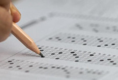 Cara Menghitung Nilai Rata-Rata Ujian Nasional (UN) yang Akurat dan Praktis 