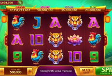 Kode Pola 3-2-1 Room Panda Higgs Domino Hari Ini, 19 Desember 2023: Hanya Modal 10X Spin Langsung JP Macam Beruntun