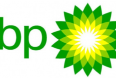 Waspada! PT BP Group Indonesia Penipuan Atau Bukan? Simak Sampai Tuntas Sebelum Melamar