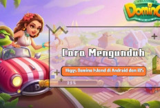 Download Higgs Domino RP For iOS New Version 2024, Dijamin Auto Gacor! Unlimited Money Unlocked All Item