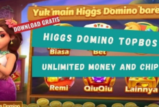 Download Topbos Higgs Domino RP Lengkap dengan Fitur Tombol Kirim Aktif 2024, Unduh Gratis Tanpa Iklan & Password