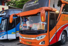 Jadwal dan Tarif Bus Makassar Palu PP PP Terbaru 2023, Armada Nyaman dan Harga Dijamin Murah!