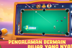 Download Sunny Domino Mod APK Unlimited Chip 2024, Sebuah Game Penghasil Uang yang Sudah Terbukti Membayar