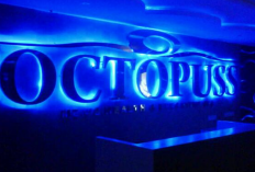 Review Octopuss SPA Bandung, Tempat Pijat Khusus Pria yang Populer