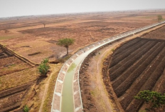 Saluran Irigasi Adalah: Pengertian, Fungsi dan Jenis-Jenisnya