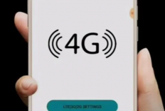 Cara Mengunci Jaringan 4G LTE di Semua Tipe HP Oppo Lengkap 2024, TANPA APLIKASI! Caranya Mudah Kok