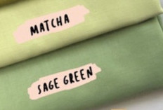 Mirip Banget! Perbedaan Warna Matcha dengan Sage Green, Kalo Bukan Cewek Susah Bedain Nih!
