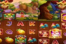 Room JP Fafa Hari Ini 3 Februari 2024 Tergacor, Spin Jackpot Kakek Merah Super Cepat