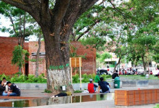 Muda-mudi Mesum di Taman Sekartaji Kediri Viral di Media Sosial, Lakukan Adegan Tak Senonoh!