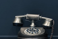 Kode Telepon Australia yang Wajib Kamu Tau, Cek di Sini Lengkap Dengan Contoh dan Cara Menelponnya 