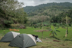 Rekomendasi Tempat Camping di Jogja Terbaru 2023, Bisa Untuk Banyak Rombongan dengan Pemandangan Menawan