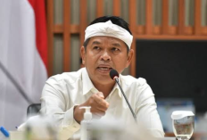 Ini Dia Platform Lowongan Kerja Bagi Warga Jabar dari KDM, Simak Proses Perekrutannya Disini!