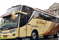 Daftar Agen Bus Travel Balikpapan - Tenggarong 2023 , Lengkap Dengan No Kontak dan Rutenya!