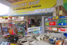 Rincian Modal Awal Usaha Pakan Ternak dan Cara Memulainya, Calon Pelaku Bisnis Wajib Tau!