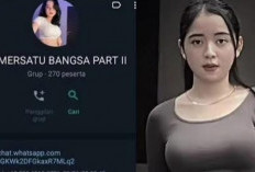 Link Grup Whatsapp Video Bebas Pemersatu Bangsa Update 2024, Fresh Video Viral Tanpa Sensor!