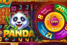 Jackpot di Room Panda Higgs Domino, Cukup Gunakan 3 Jam Hoki Terbaru 2023 