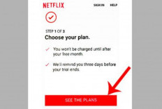 Daftar Akun Netflix Gratis Maret 2024 Masih Aktif, Gratis 1 Tahun Berlangganan! Update dan Tonton Semua Film