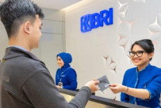 Loker Bank BRI Mei 2023 Internship Program Cabang Sampit Buka Kesempatan Untuk Fresh Graduate, Ini Syarat dan Ketentuannya