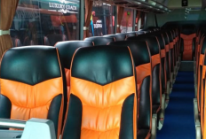 Kapasitas Bus Besar Seat 2-2 Adalah? Ini Dia Jumlah Maksimal Kursi dan Denahnya