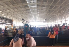 Video Viral PT Longrich Cirebon Buat Warganet Penasaran, Asli Atau Hoax? Ternyata Begini Fakta Skandal Panas TKA
