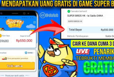 Cara Mendapatkan Uang di Super Birds APK Terbaru 2024, Beserta Langkah Withdraw ke Saldo DANA!