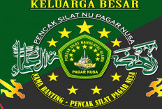 Download  Wallpaper Pagar Nusa dengan Berbagai Tema, Kualitas Gambar Terbaik HD Tidak Pecah!