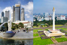 Buy Indonesia Artinya Apa? Cara Membaca Pergerakan Investor Asing di Pasar Saham
