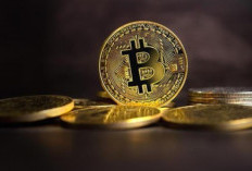 Daftar Aplikasi Mining Bitcoin Android Terbaru 2024 yang Bikin Kaya, Kumpulin Cuan Kripto Dari Sekarang 