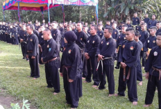 Tempat Latihan PSHT Terdekat dari Lokasi Saya Kota Sleman, Yogjakarta : Cek Disini Selengkapnya!