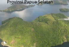 8 Daftar Kabupaten Papua Selatan yang Ikut Dalam Pemekaran Wilayah, Mulai Diusulkan dan Dapat Sambutan Baik!