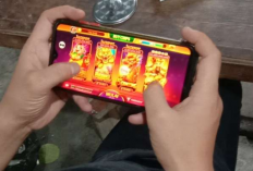 Kabar Higgs Domino Island Terbaru Hari Ini 3 Maret 2024, Developer Jadi Munculkan Kembali Tombol Kirim?
