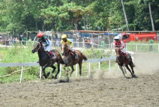 Event Kebumen 2023, Jangan Lewatkan Tradisi Pacuan Kuda yang Sudah Eksis Sejak Tahun 1956!