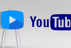 Download YouTube Biru APK 2024 v17.36.39 Unlimited Features, Nonton Nyaman Bebas Iklan