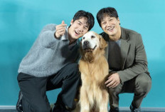 Nonton My Heart Puppy (2023) Sub Indo 1080p Jatuh Miskin, Min Soo dan Jin Gook Bertualang Untuk Cari Majikan Baru Buat Anjingnya